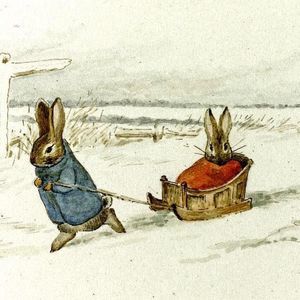 Meet your Posher, Bunny